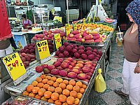 [IMG_1217.jpg]