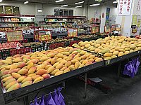 [IMG_1222.jpg]