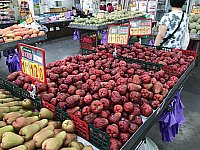 [IMG_1225.jpg]