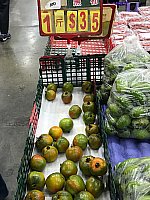 [IMG_1226.jpg]
